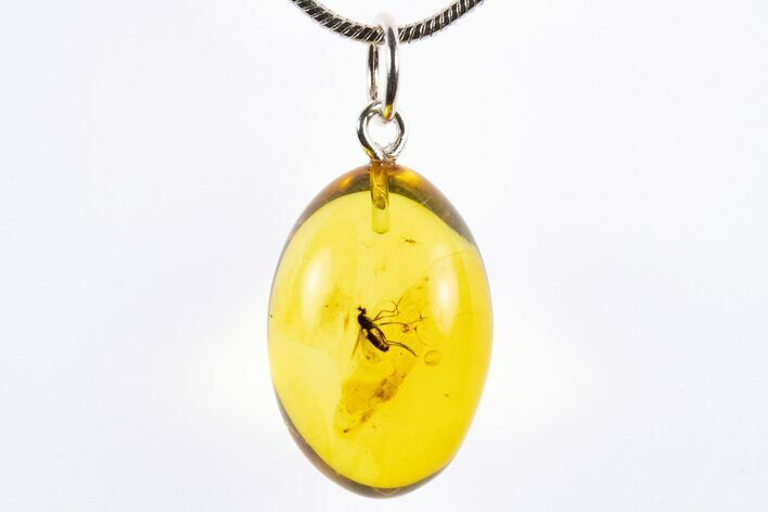 Polished Baltic Amber Pendant (Necklace) - Contains Fly! #322040